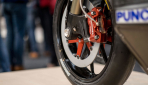 sarolea-sp7-2015-3