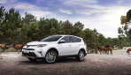 Toyota RAV 4 Hybrid Preis 2016 - 5
